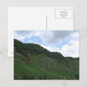 ブドウ畑 ポストカード (正面/裏面)