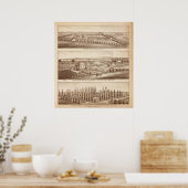 ブドウ畑、牧場、チュラレCo、カリス ポスター (キッチン)