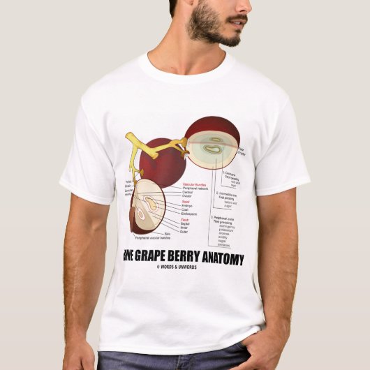 ブドウ酒用ブドウの果実の解剖学(フルーツ) Tシャツ (正面)
