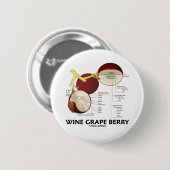 ブドウ酒用ブドウの果実(解剖学) 缶バッジ (正面&裏面)