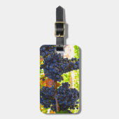 ブドウ酒用ブドウ ラゲッジタグ (正面縦)