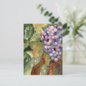 ブドウ、つる植物のフルーツ ポストカード (スタンド正面)