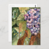 ブドウ、つる植物のフルーツ ポストカード (正面/裏面)
