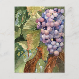 ブドウ、つる植物のフルーツ ポストカード