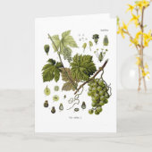 ブドウ カード (黄色い花)