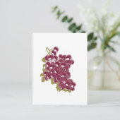 ブドウ ポストカード (スタンド正面)