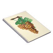 ブドウ"terret blanc"の、色: buttercream ノートブック (右側)