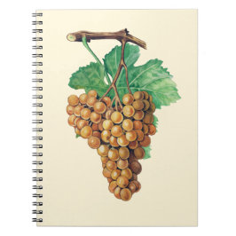 ブドウ"terret blanc"の、色: buttercream ノートブック