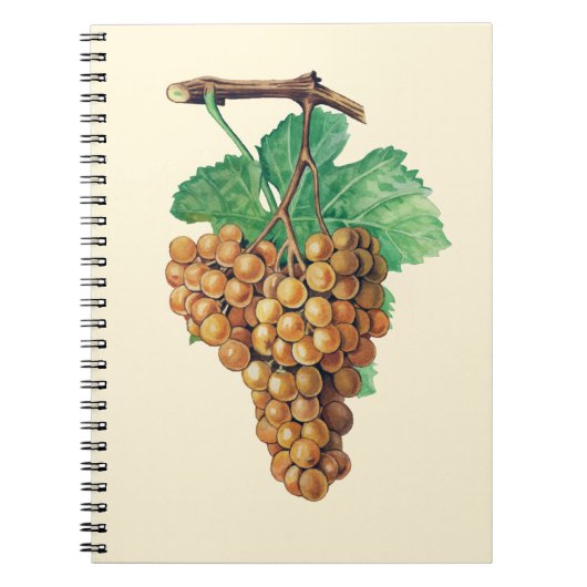 ブドウ"terret blanc"の、色: buttercream ノートブック (正面)