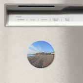 ブドレイサルタトン マグネット (インサイチュ (食洗機))