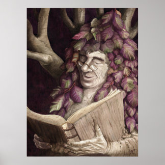 ブナの乾燥地 ポスター