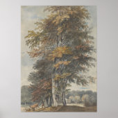 ブナの木，人，牛と羊，ヴィンテージ ポスター (正面)