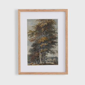 ブナの木，人，牛と羊，ヴィンテージ ポスター