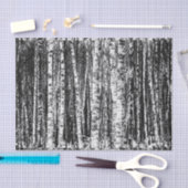 ブナの木、白と炭の灰色/灰色 薄葉紙 (クラフト)