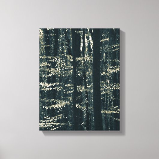 ブナ林の自然写真 キャンバスプリント (正面)