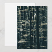 ブナ林の自然写真 シーズンカード (正面/裏面)