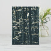 ブナ林の自然写真 シーズンカード (スタンド正面)