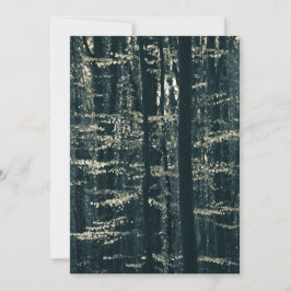 ブナ林の自然写真 シーズンカード