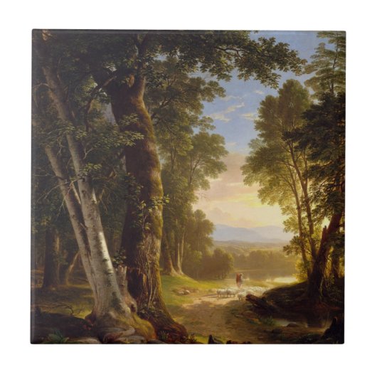 ブナ タイル (正面)