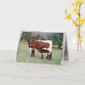 ブネラン – Z61，ボン&ベル7896-Z，ハッピー，誕生日,... カード (黄色い花)