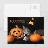 ブハロウィン猫葉書 ポストカード (正面/裏面)
