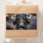 ブバルスブバリ ラベル (インサイチュ)