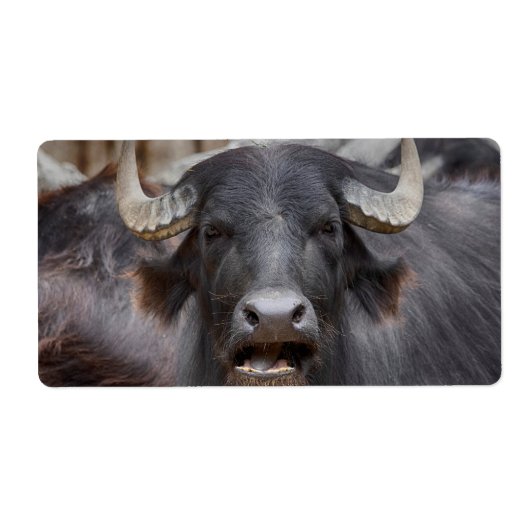 ブバルスブバリ ラベル (正面)