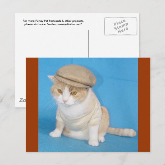 ブバ子猫 ポストカード (正面/裏面)