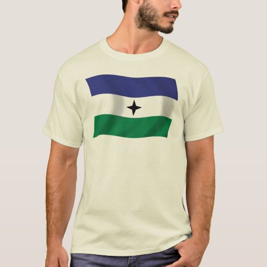 ブビ・ナショナリストの旗のTシャツ Tシャツ (正面)