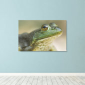 ブファロ国立川、アーカンソー州北西部 キャンバスプリント (インサイチュ (ウッドフロア))