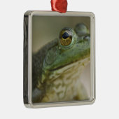 ブファロ国立川、アーカンソー州北西部 メタルオーナメント (右)