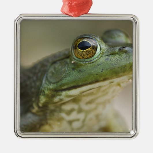 ブファロ国立川、アーカンソー州北西部 メタルオーナメント (正面)