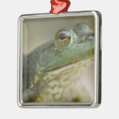 ブファロ国立川、アーカンソー州北西部 メタルオーナメント (左)