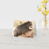 ブブノテカードPB4 カード (黄色い花)