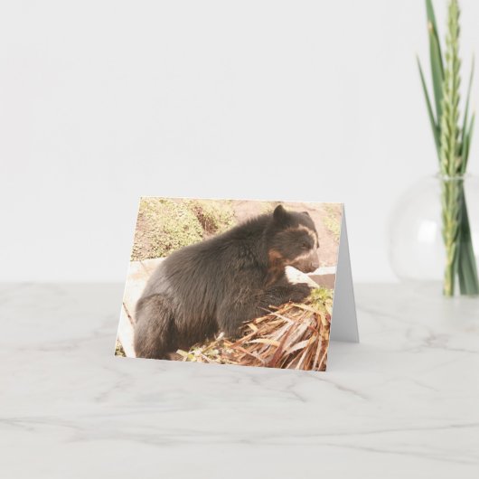 ブブノテカードPB4 カード (正面)