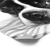 ブホ ポスター (角)