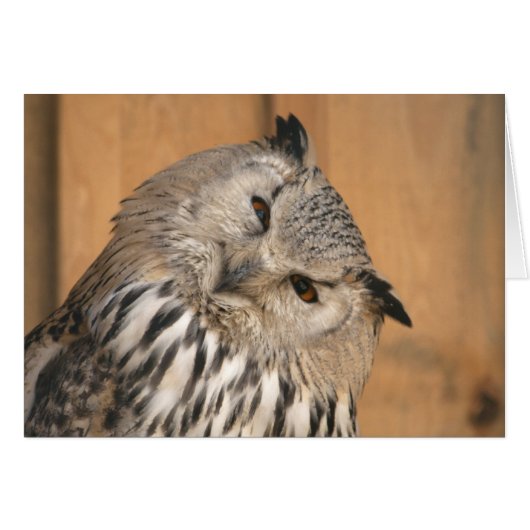 ブボブボシビリカス (正面横)