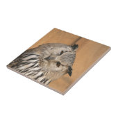 ブボブボシビリカス タイル (側面)