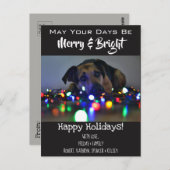 「&ブメリーライト」ペットの写真の祝日を追加 ポストカード (正面/裏面)