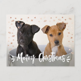 ブモダンラシ台本クリスマス写真 シーズンポストカード