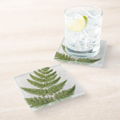 ブラで絵を描かれる広い刺だらけ歯付きBucklerシダ ガラスコースター (アングル)