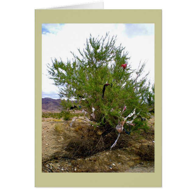 ブラのブッシュの下着 (正面)