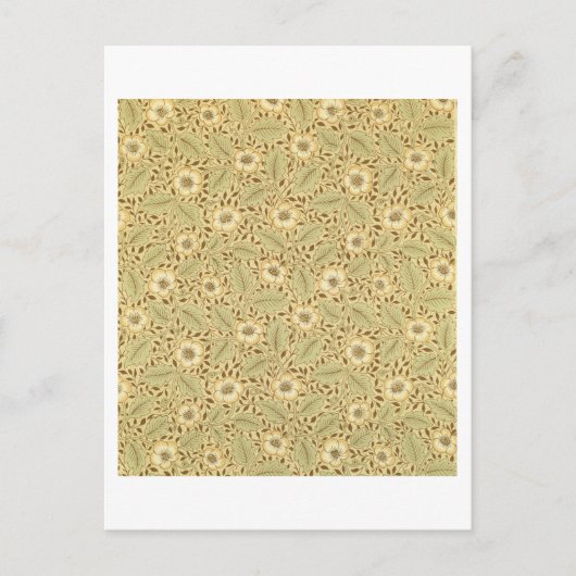 'ブライアルバラ'壁紙デザイン ポストカード (正面)