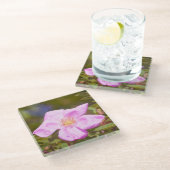 ブライアルバラ ガラスコースター (アングル)