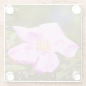 ブライアルバラ ガラスコースター (裏面)