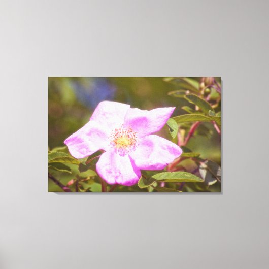 ブライアルバラ キャンバスプリント (正面)