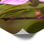 ブライアルバラ ポスター (角)