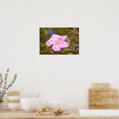 ブライアルバラ ポスター (キッチン)