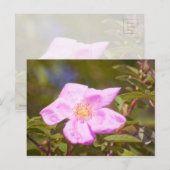 ブライアルバラ ポストカード (正面/裏面)