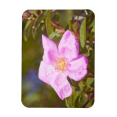 ブライアルバラ マグネット (縦)